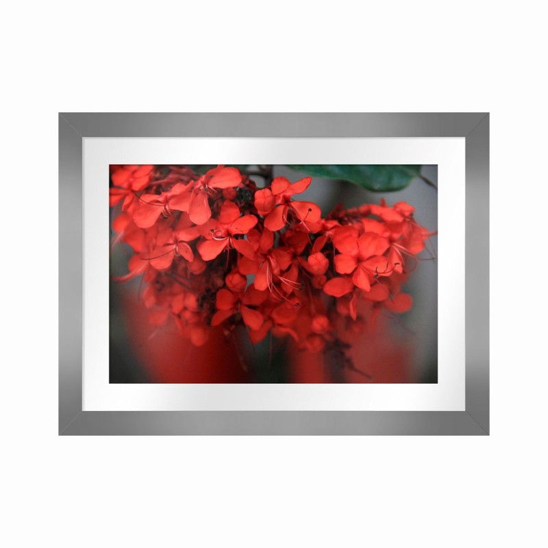 Red Autumn I Carre