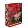 Bolsa Regalo Grande Celebrate