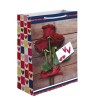 Bolsa Regalo Grande Celebrate