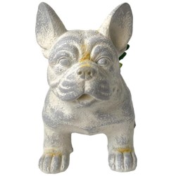 Maceta Suculenta Dog