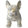Maceta Suculenta Dog
