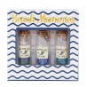 Set Botellas Náuticas Decorativas Diseño Conchita, Ancla y Estrella de Mar