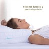 Almohada Collezione Estándar Semi Firme Sognare